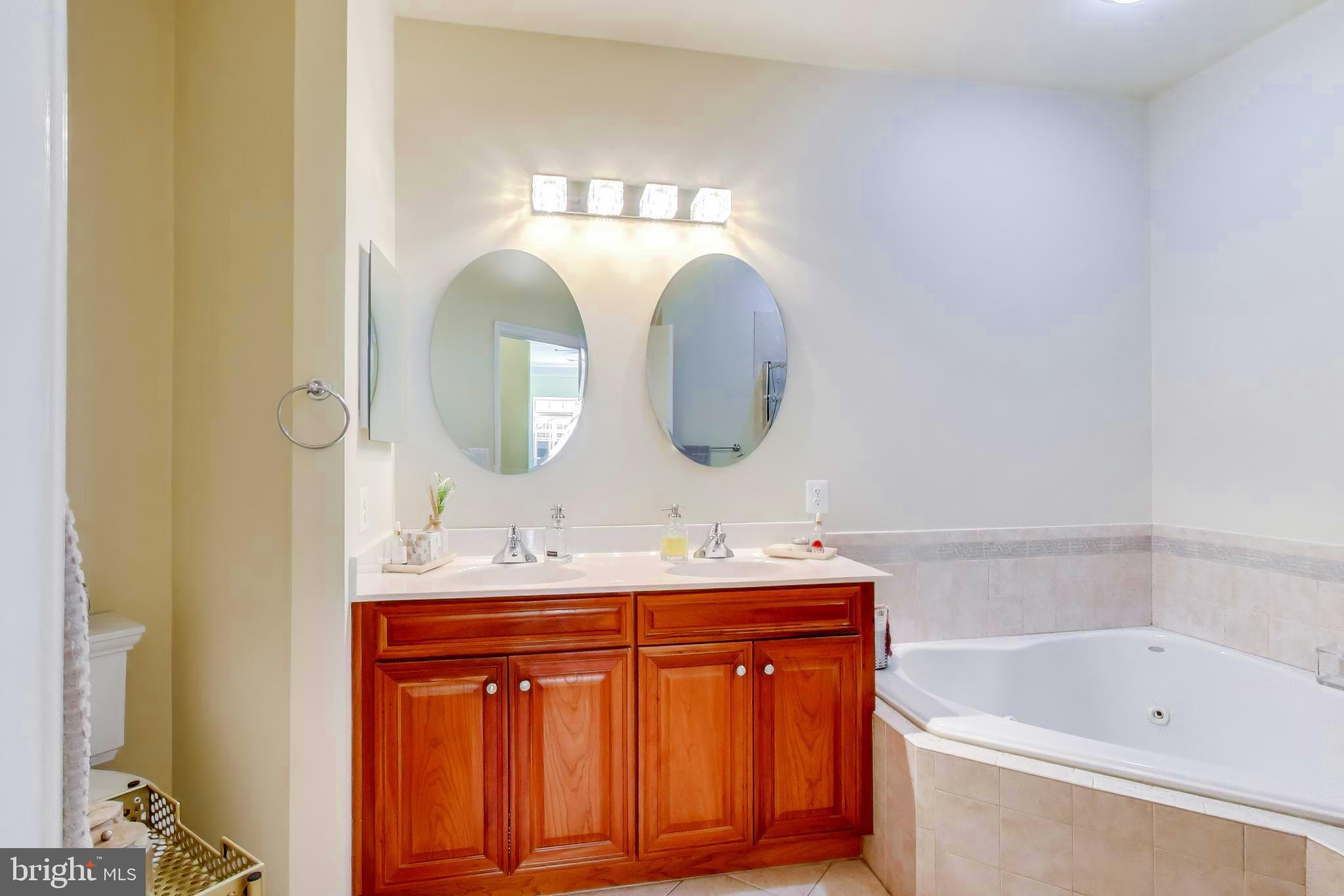 13218 Winding Trail Road Laurel, MD 20707 - Photo 20 of 46 owners bathroom