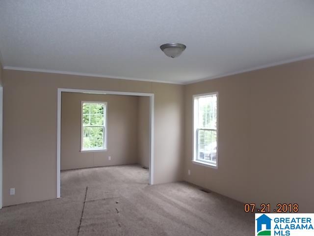 125 Boren Road Warrior, AL 35180 - Photo 9 of 12