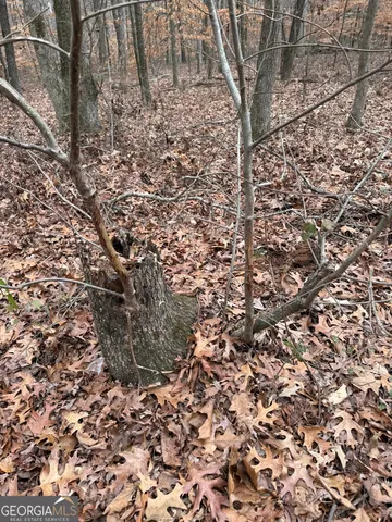 a view of a yard with wooden fence