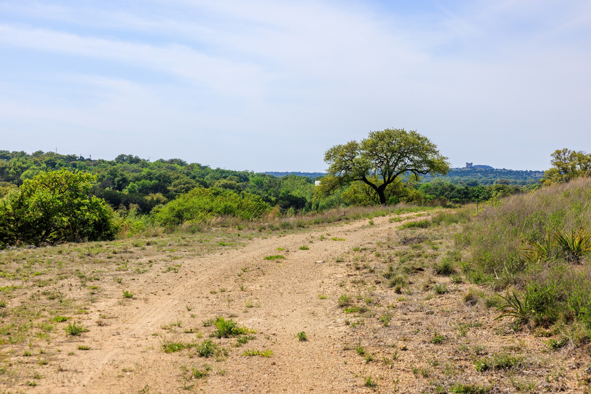 Lot 2 Byrd Ranch Road Johnson City, TX 78636 - Photo 20 of 40 View of landscape