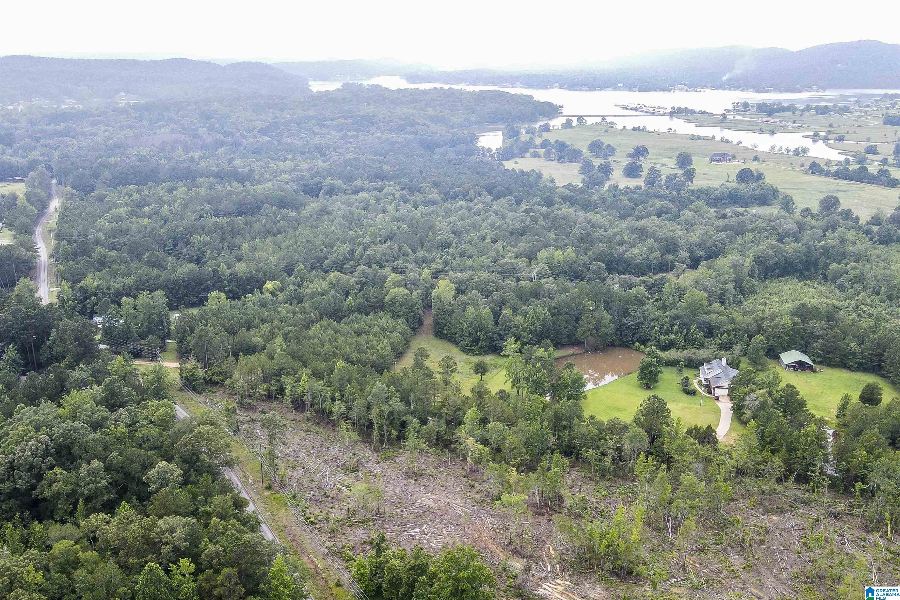 0 Cochran Springs Road, Unit 3 66 AC Ohatchee, AL 36271 - Photo 8 of 11 Gallery Image 8