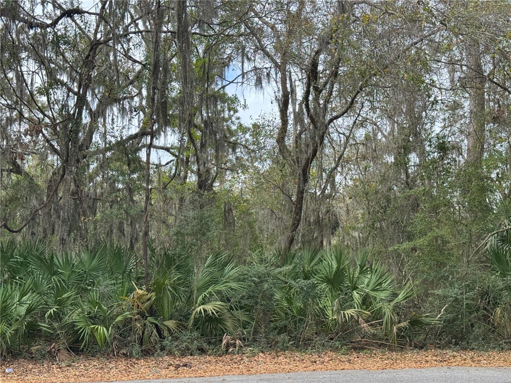 6001 Frederica Road St. Simons Island, GA 31522 - Photo 3 of 12