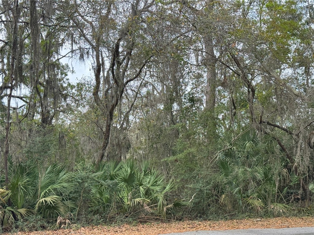 6001 Frederica Road St. Simons Island, GA 31522 - Photo 4 of 12