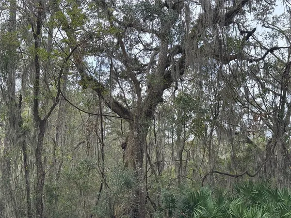 $625,000 | 6001 Frederica Road, St. Simons Island, GA 31522
