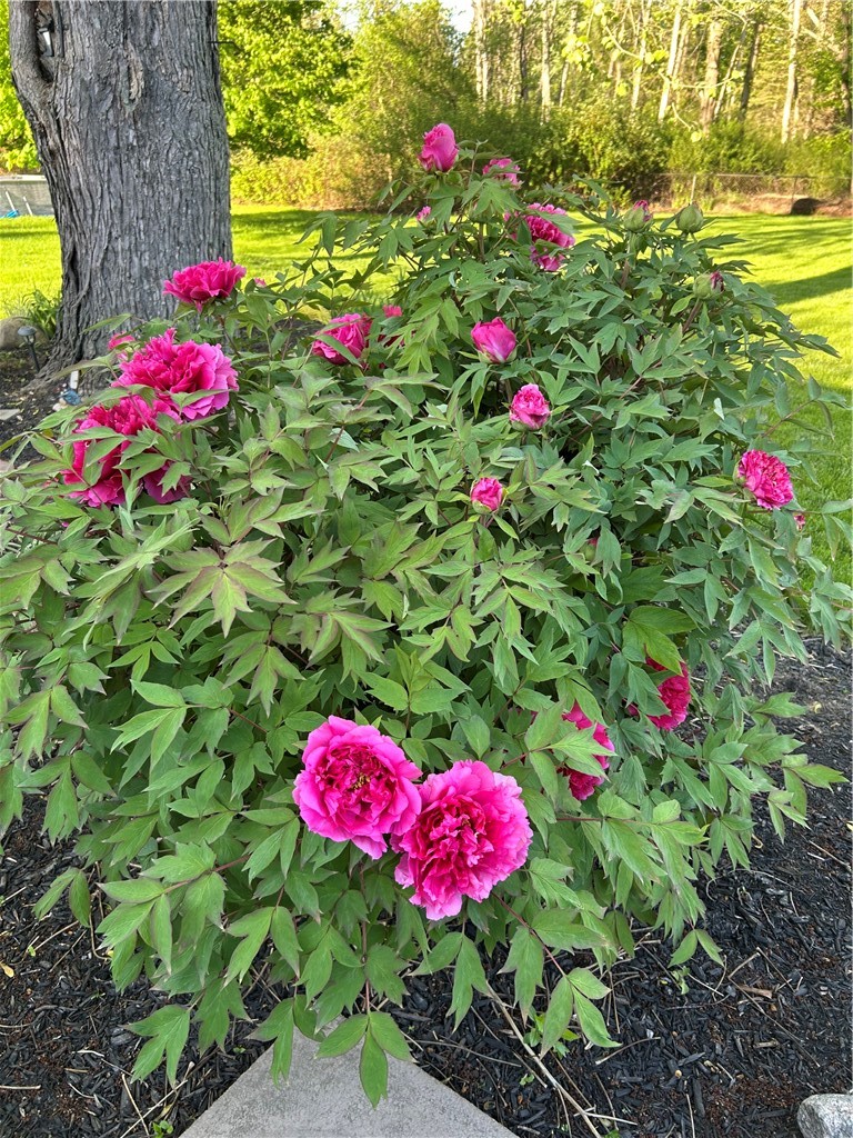 198 Kirk Road Greece, NY 14612 - Photo 27 of 35