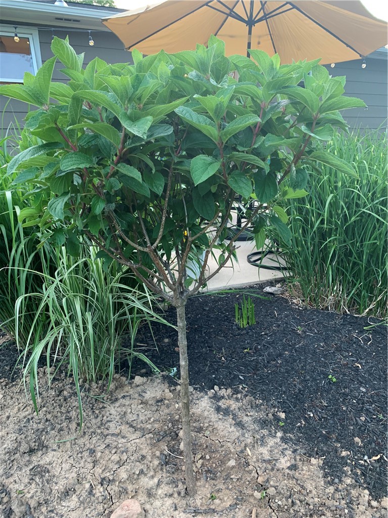 198 Kirk Road Greece, NY 14612 - Photo 28 of 35