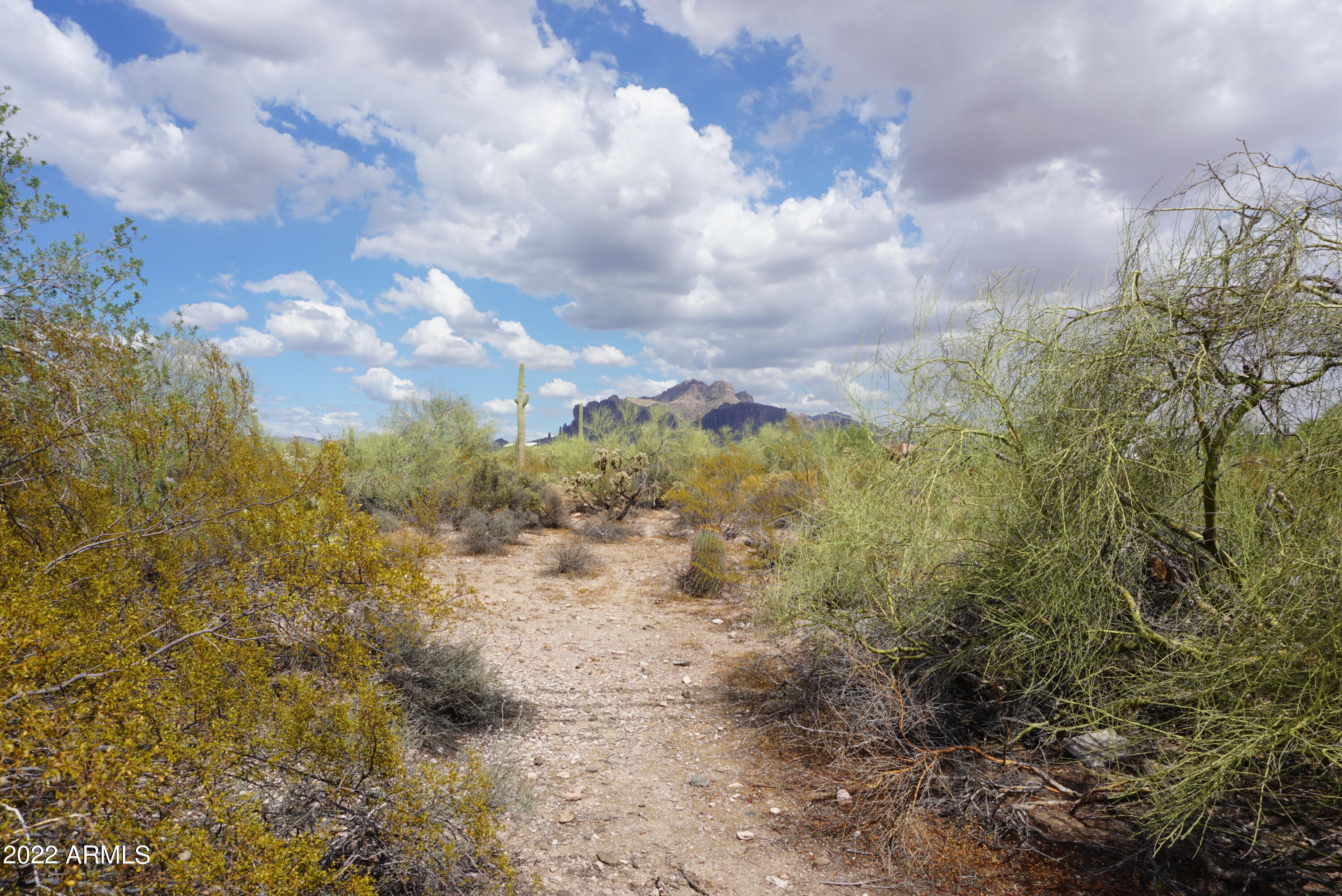 4401 North Winchester Road Apache Junction, AZ 85119 - Photo 1 of 9 Superstition Mtn View 1