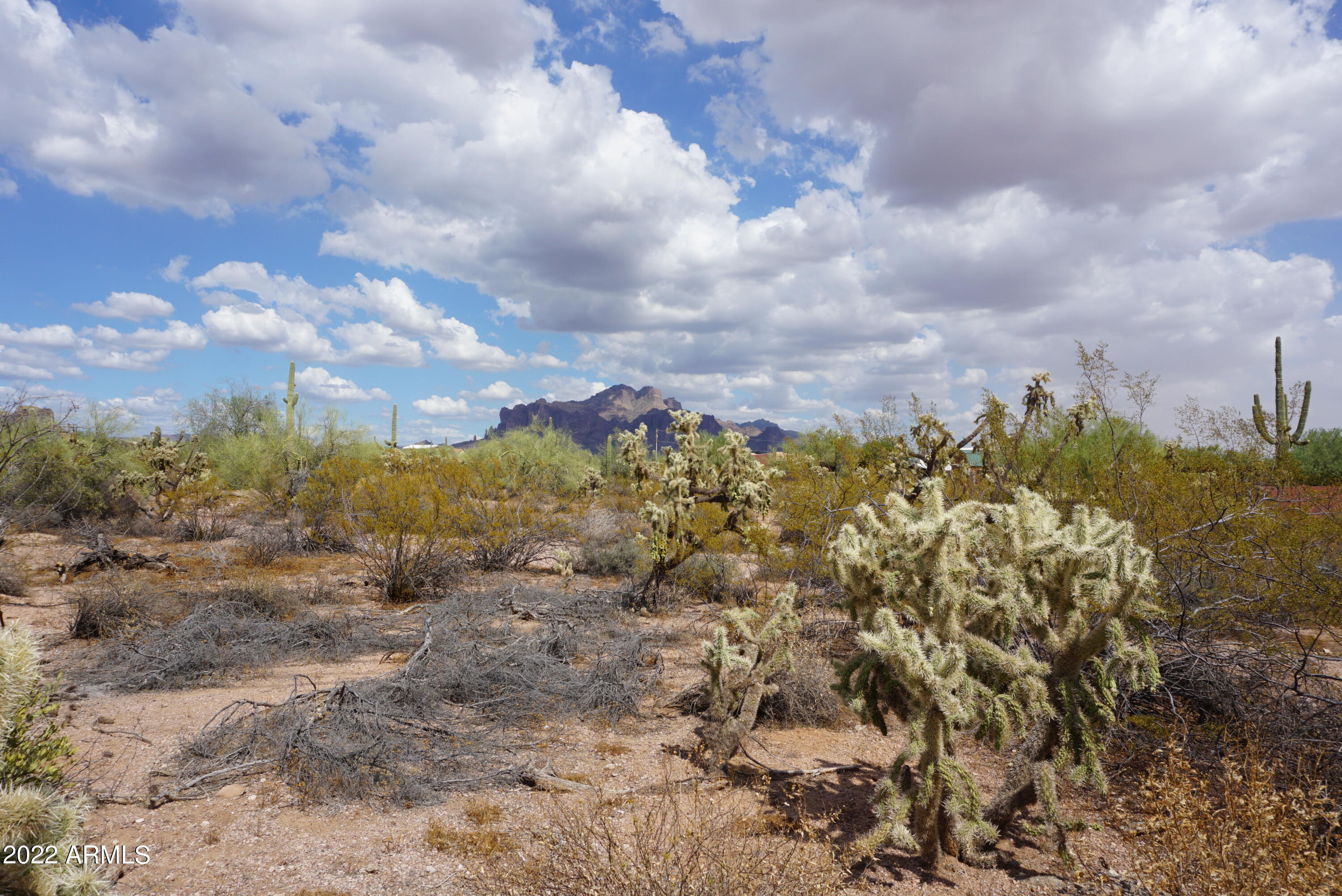 4401 North Winchester Road Apache Junction, AZ 85119 - Photo 4 of 9 Land 1