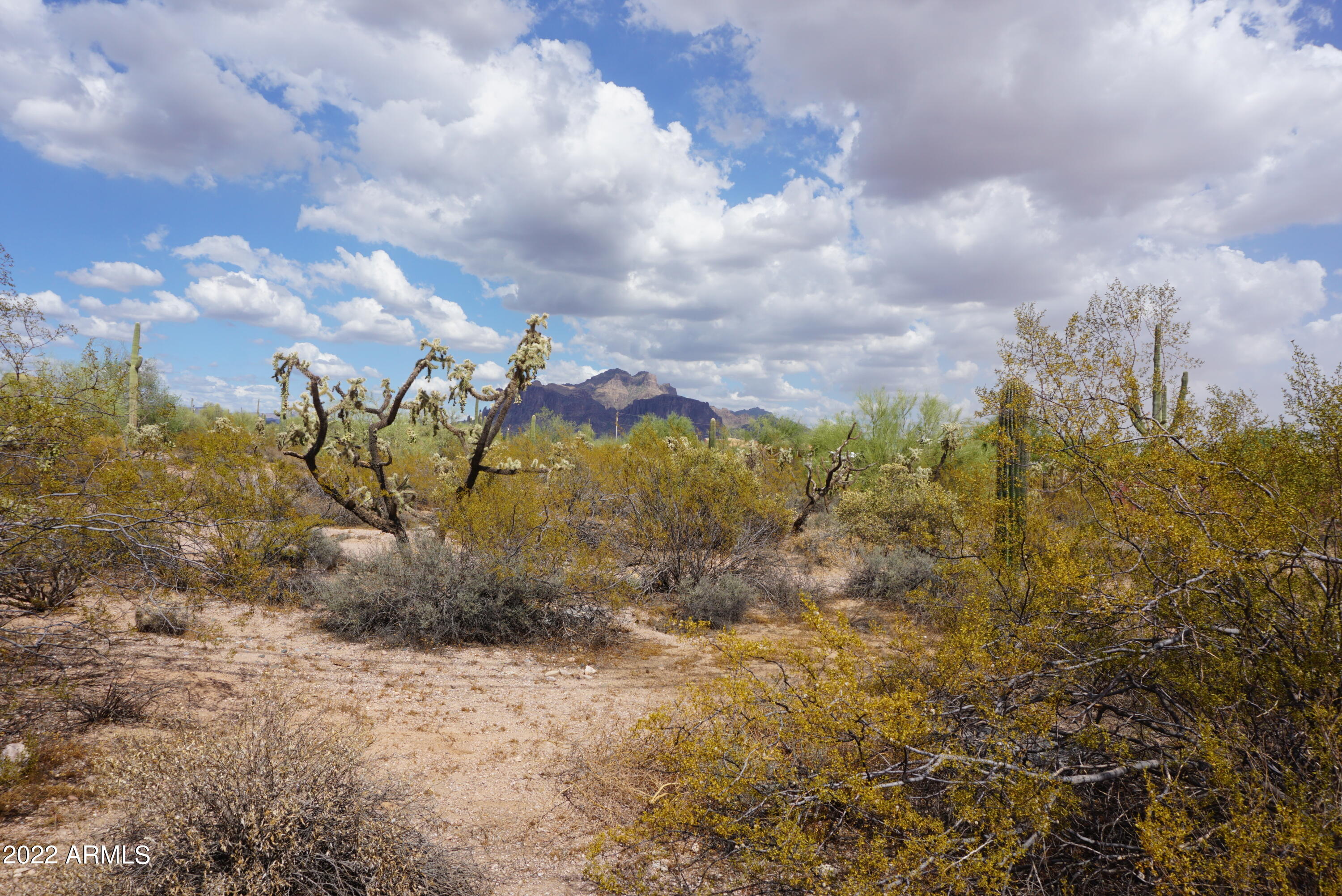 4401 North Winchester Road Apache Junction, AZ 85119 - Photo 5 of 9 Land 2