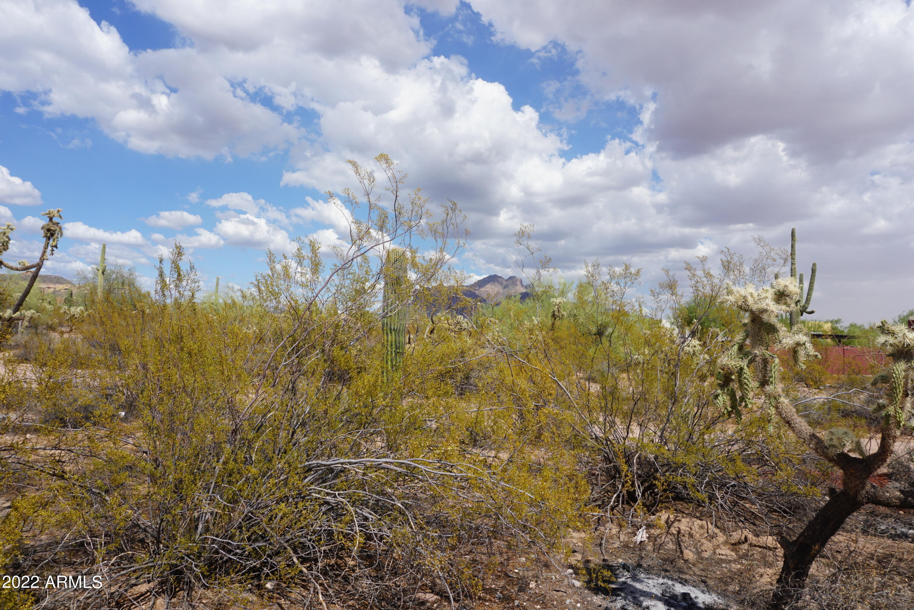 4401 North Winchester Road Apache Junction, AZ 85119 - Photo 6 of 9 Land 3