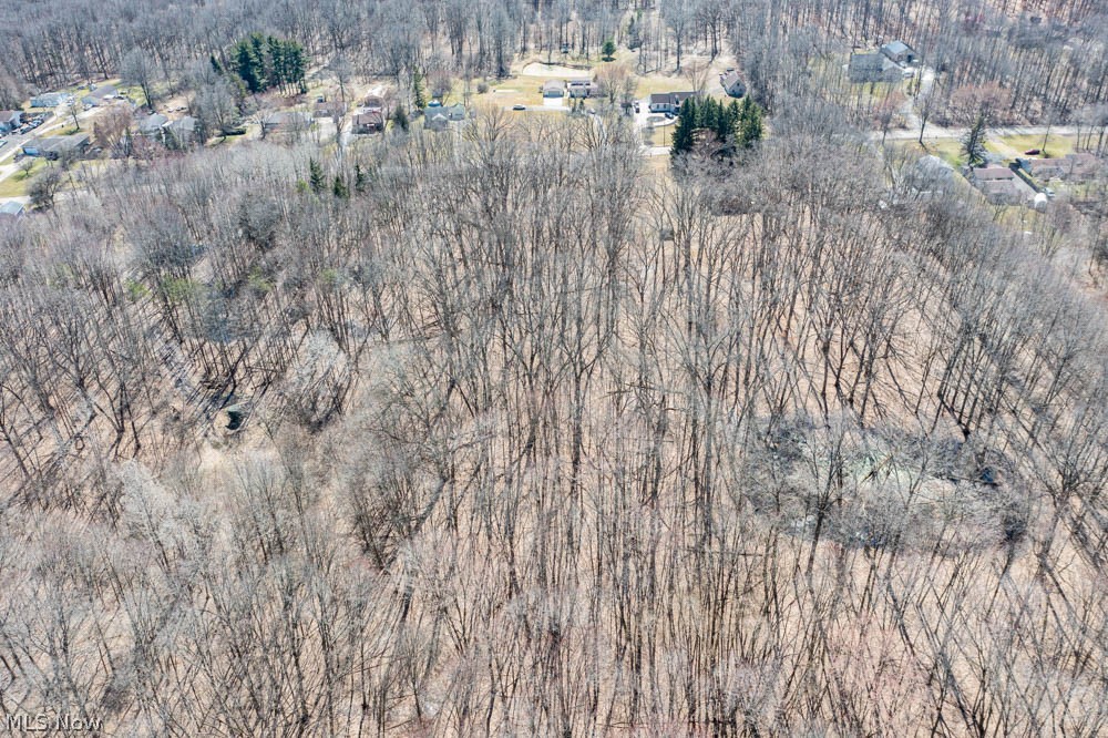 705 Carson Salt Springs Road Mineral Ridge, OH 44440 - Photo 3 of 14 Gallery Image 3