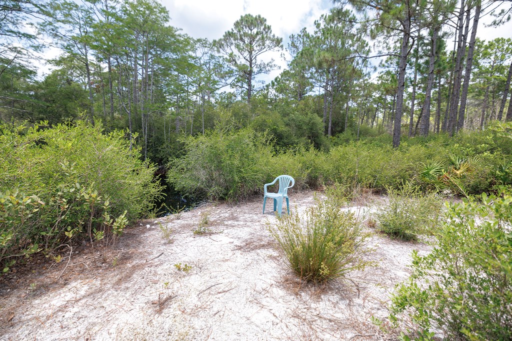 1999 Lighthouse Road Carrabelle, FL 32322 - Photo 28 of 34 Gallery Image 28
