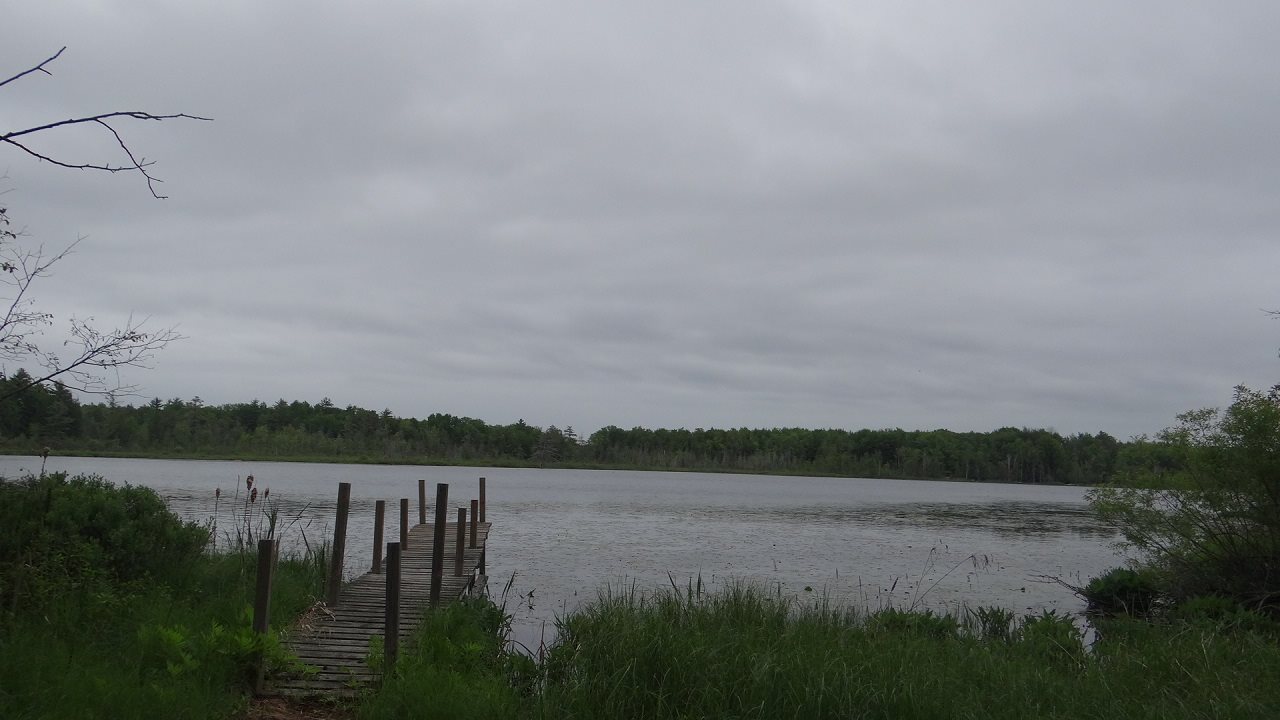 2597 Tonawanda Road Grawn, MI 49637 - Photo 2 of 19 1801672-1.JPG