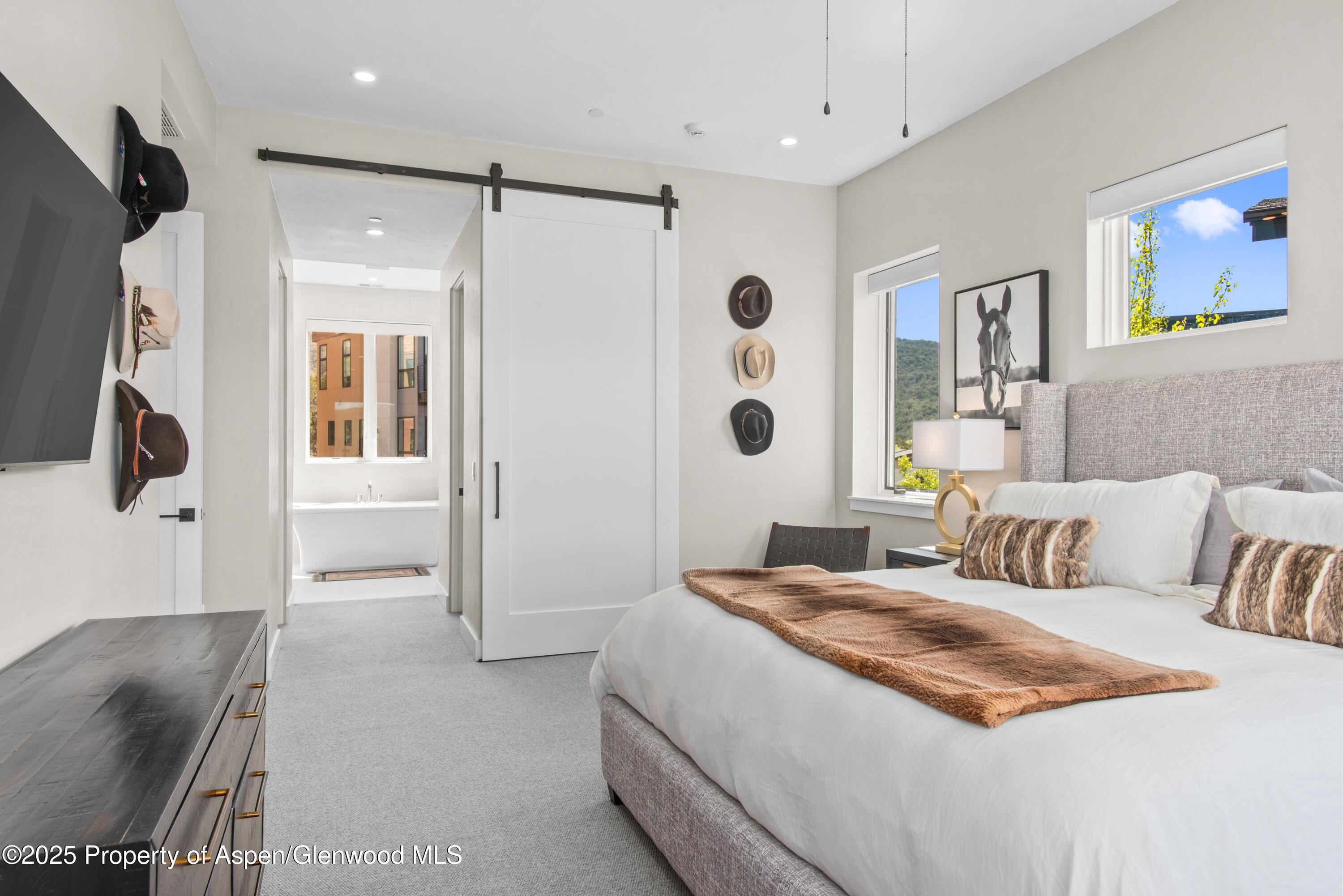 236 Overlook Ridge Carbondale, CO 81623 - Photo 23 of 41 26-236OverlookRidge_250503026