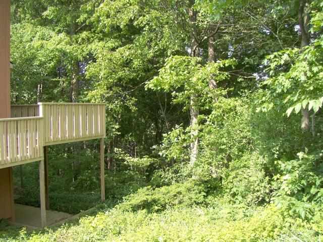 11259 South Springboro Road Brookston, IN 47923 - Photo 3 of 22 Gallery Image 3