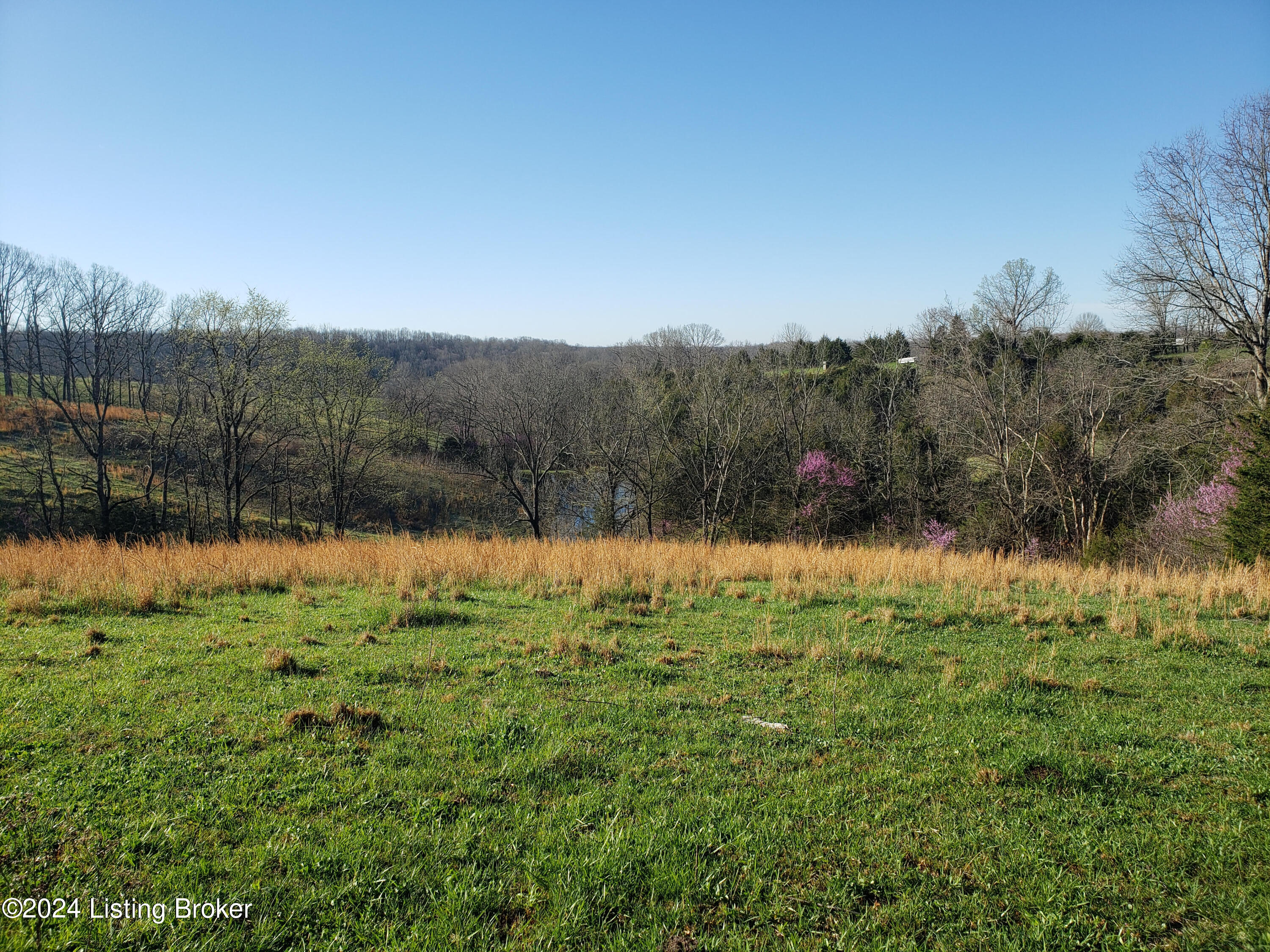 1275 Pleasant Grove Ridge Road Mount Eden, KY 40046 - Photo 1 of 8 Scenic View