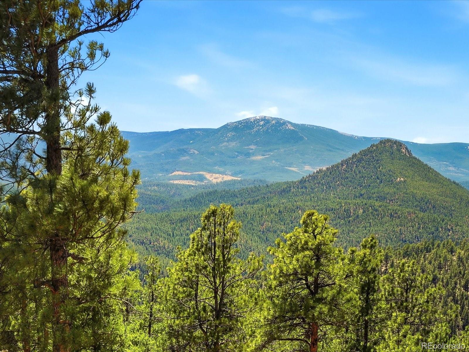 475 Holmes Gulch Road Bailey, CO 80421 - Photo 23 of 35