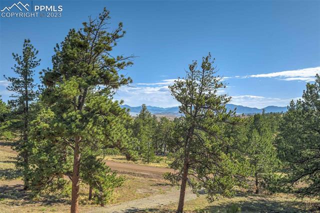 409 Lashbrook Road Hartsel, CO 80449 - Photo 32 of 50 Gallery Image 32