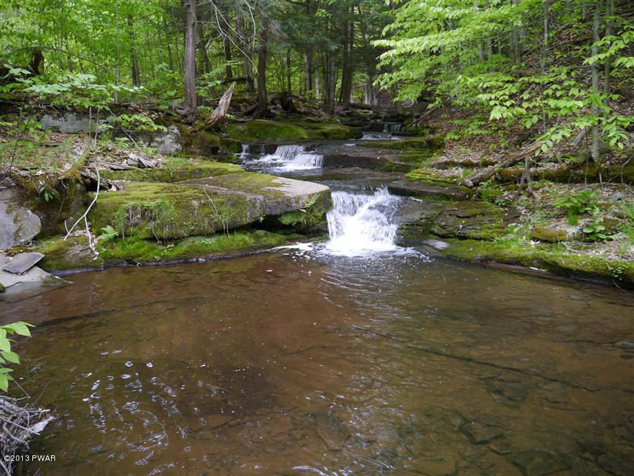 Lot 2 Layton Road Equinunk, PA 18417 - Photo 14 of 17
