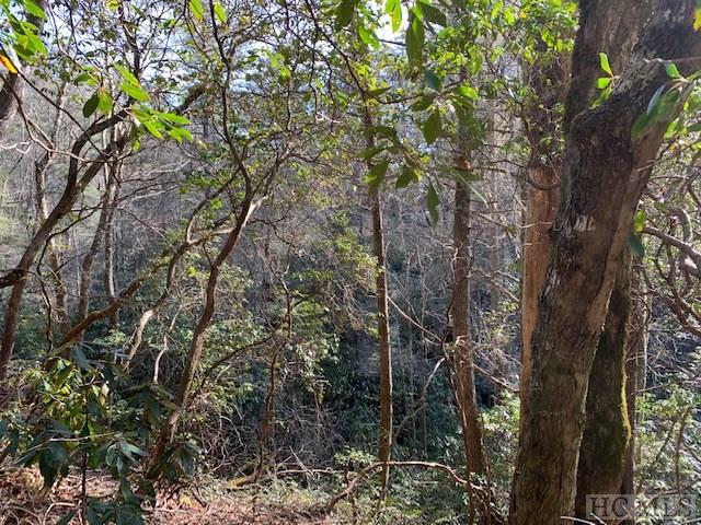 Tbd North Norton Road Cullowhee, NC 28723 - Photo 5 of 16 Gallery Image 5