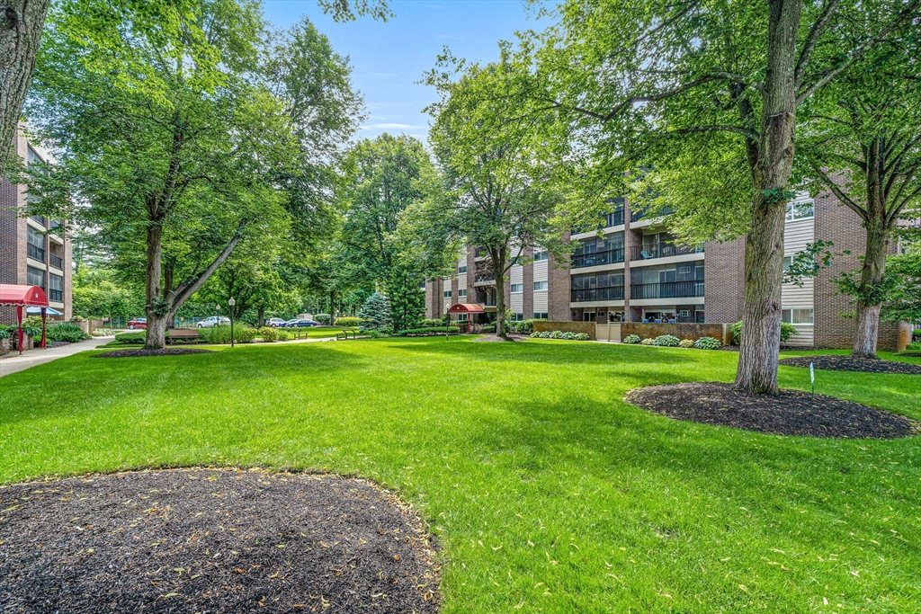 68 Main Street, Unit 17C Stoneham, MA 02180 - Photo 12 of 13 a view of a house with a big yard and large trees
