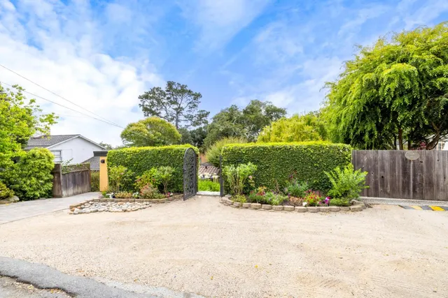 a view of a garden with a pathway