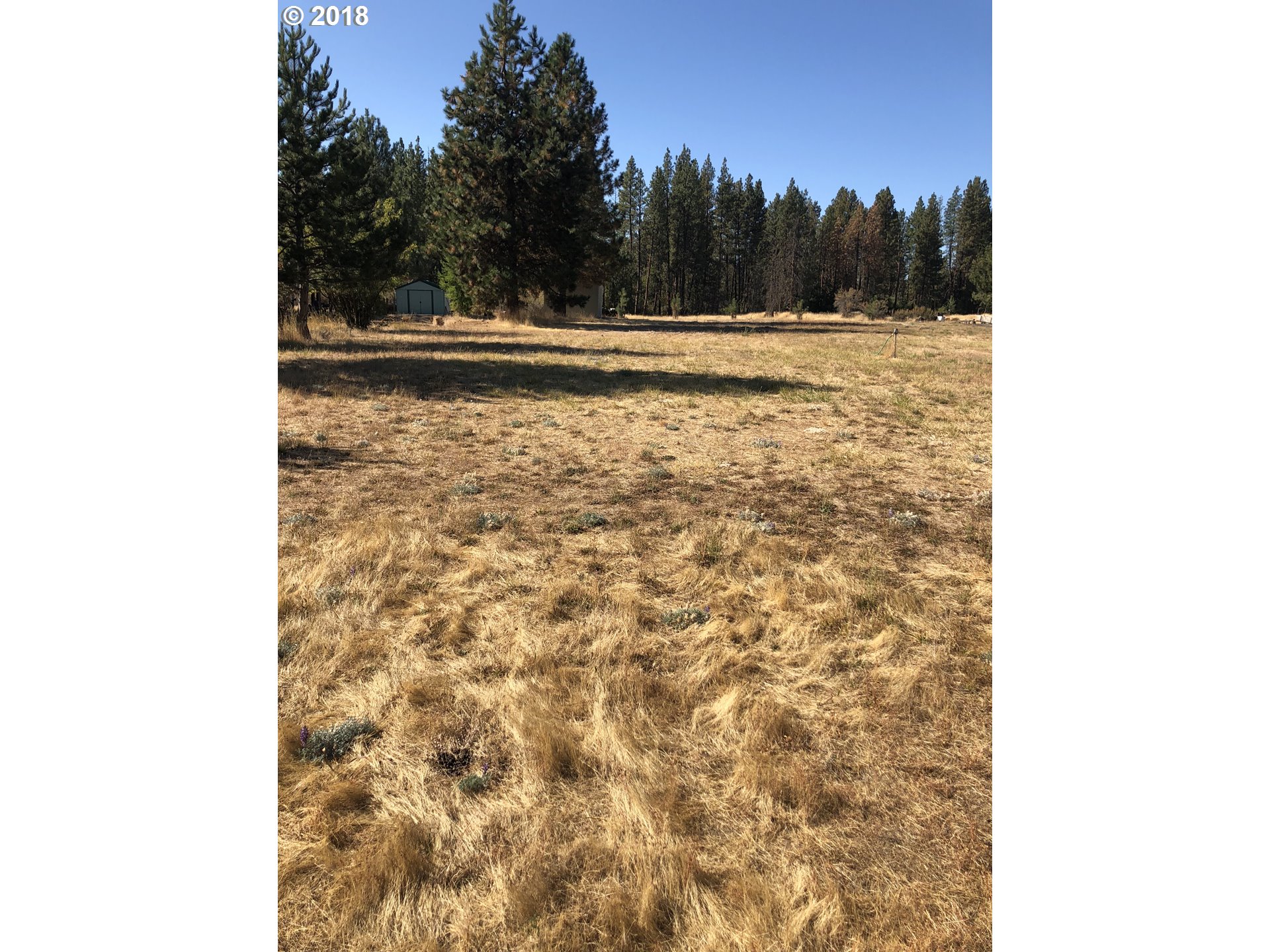 332 Davis Road Wamic, OR 97063 - Photo 2 of 5 Gallery Image 2