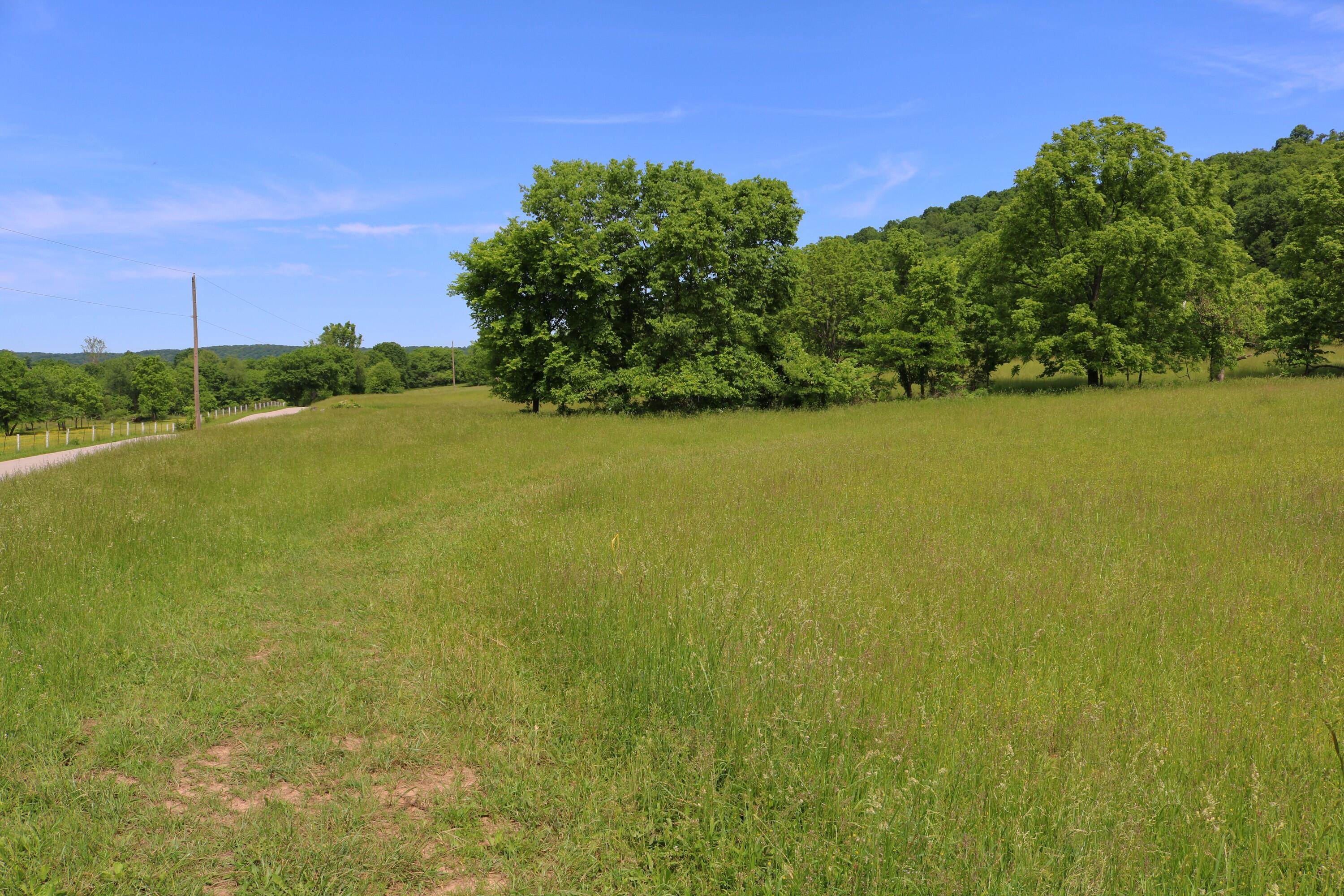 25.78 McDonald Ferry Road Frankfort, KY 40601 - Photo 8 of 14