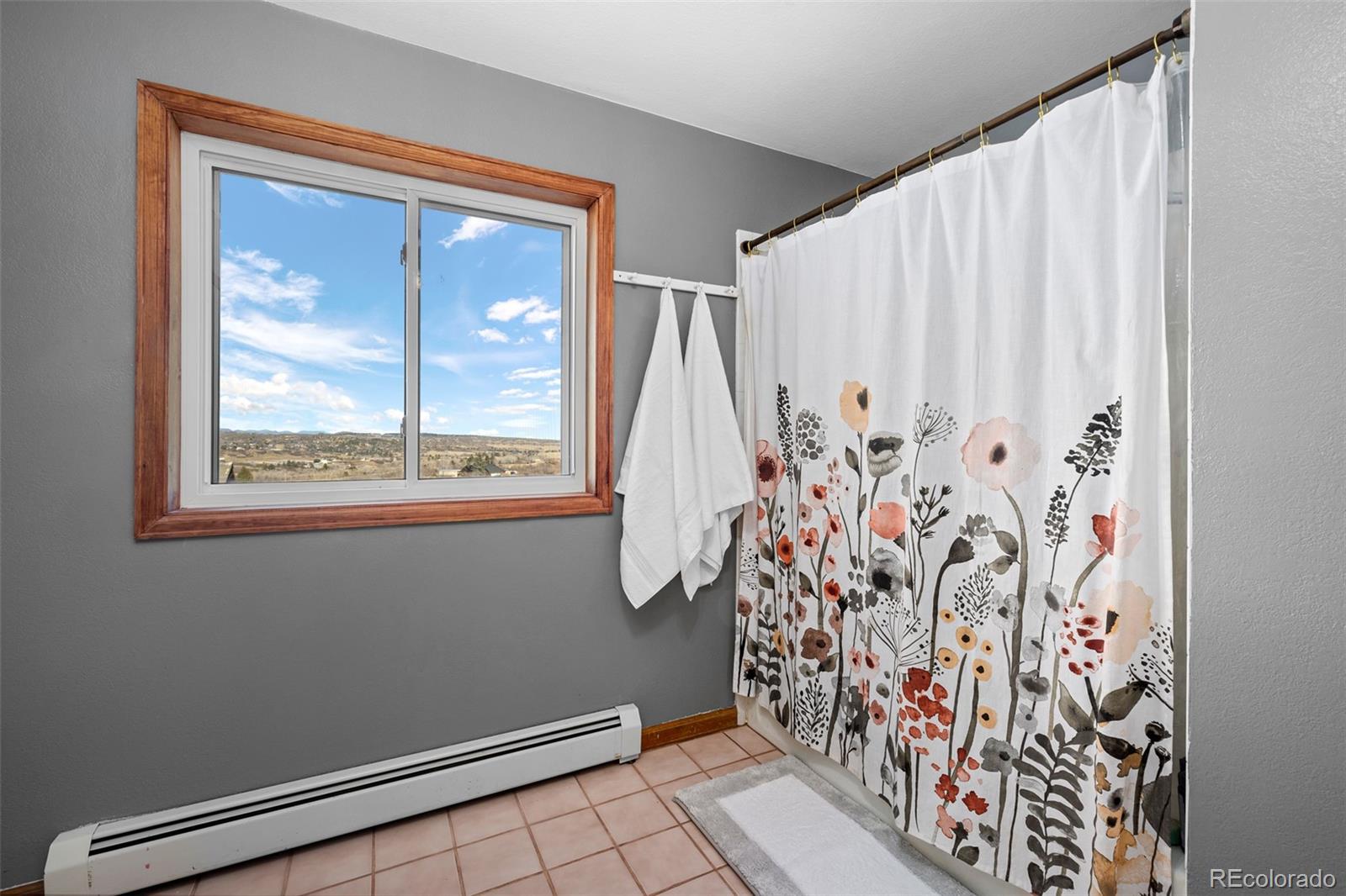 4205 West Parkridge Road Sedalia, CO 80135 - Photo 35 of 50 a view of small space with window