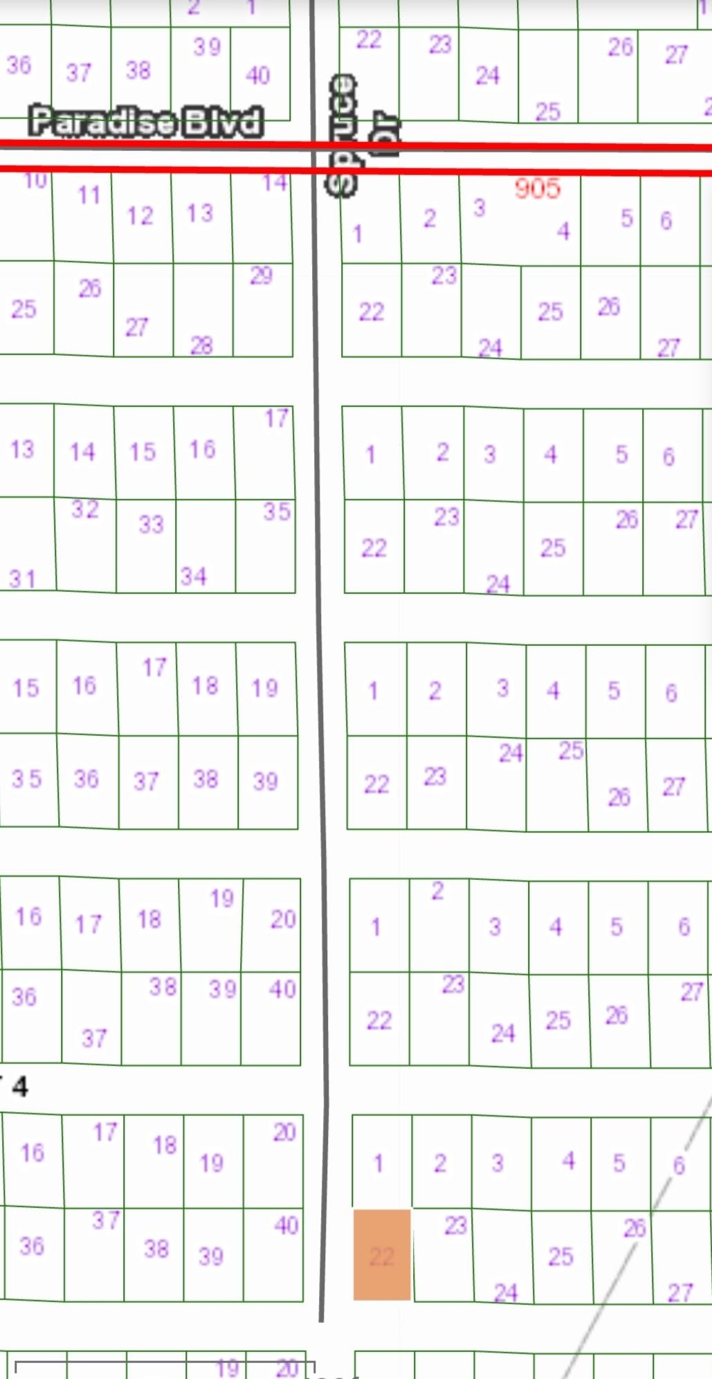 Tbd Siesta Drive Georgetown, FL 32139 - Photo 2 of 7 a picture of a window