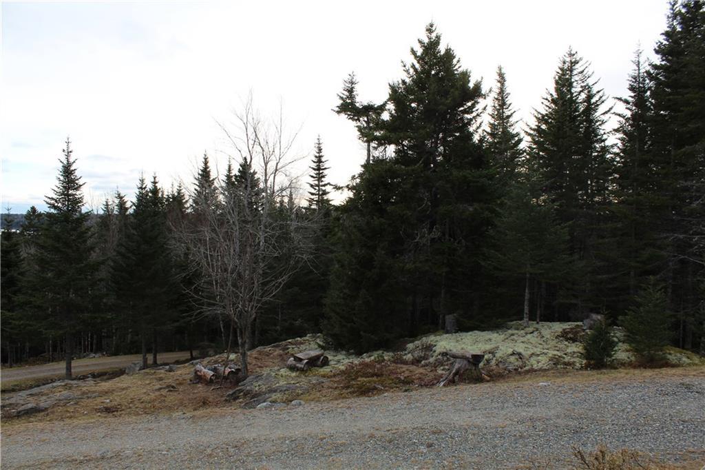 484 Duck Cove Road Roque Bluffs, ME 04654 - Photo 34 of 34 Natural landscaping