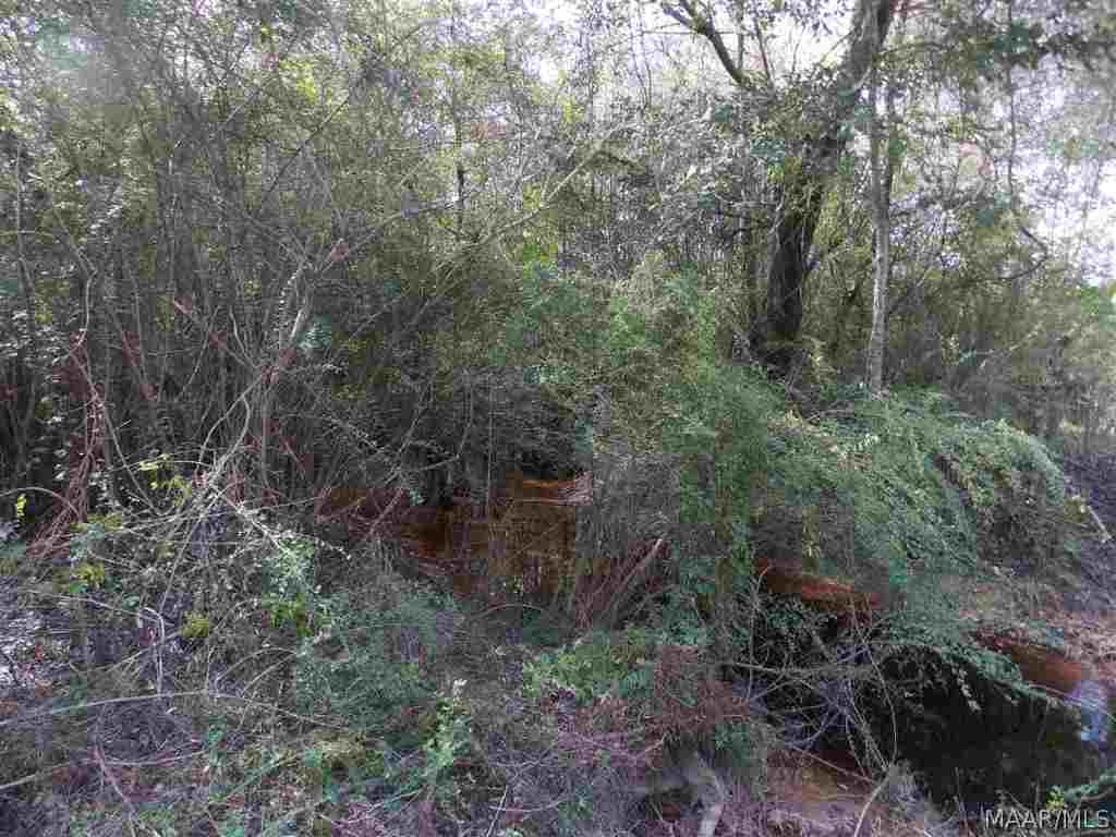 Ewell Road Slocomb, AL 36375 - Photo 6 of 6 Gallery Image 6