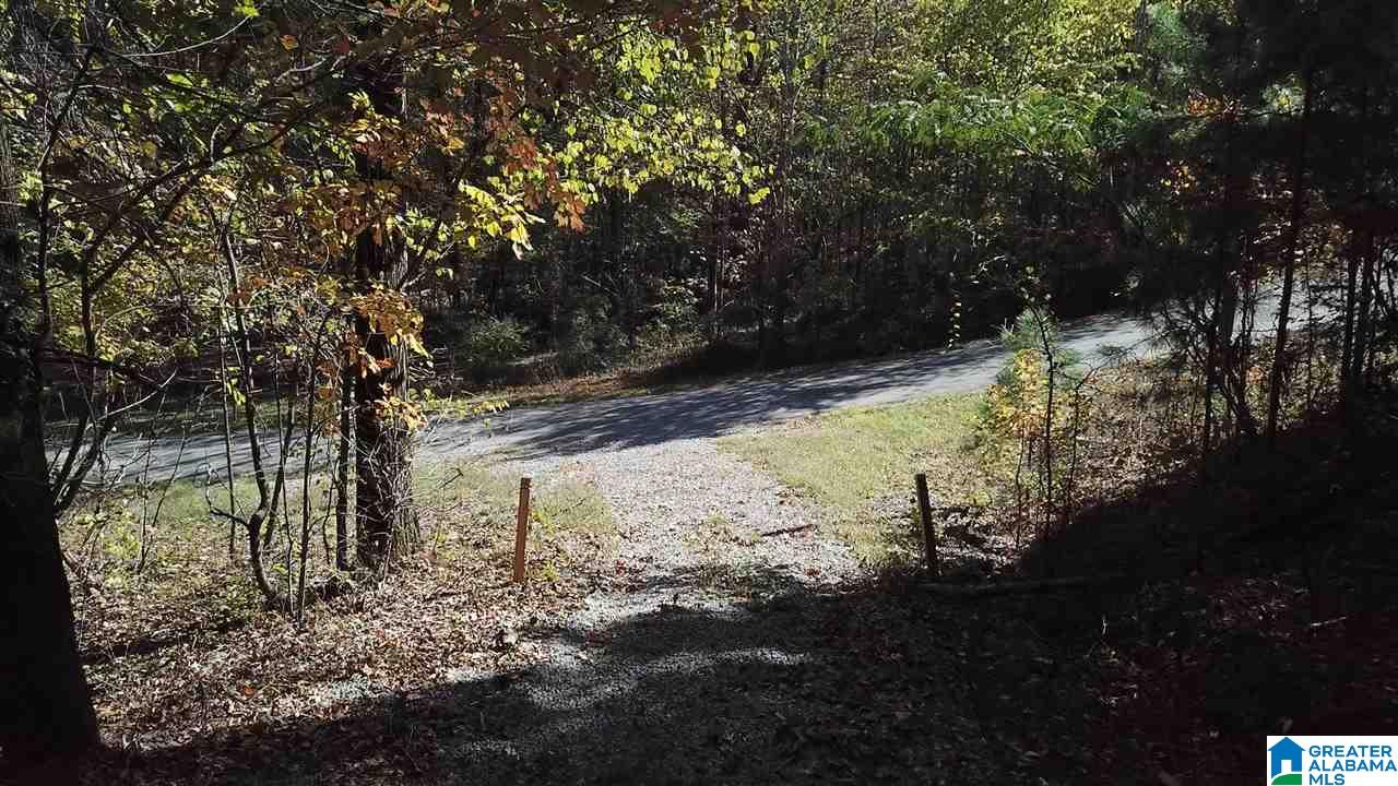 225 Oak Valley Road Springville, AL 35146 - Photo 4 of 8
