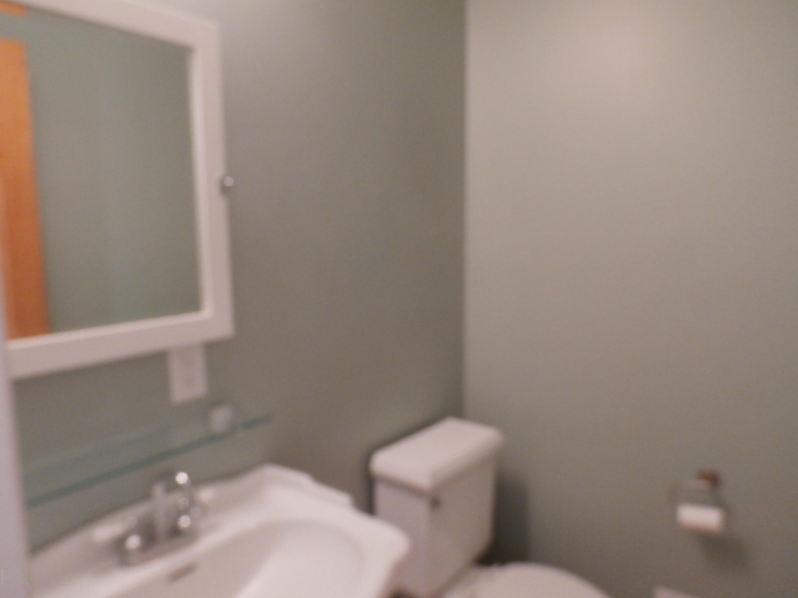 5481 Gun Lake Road Hastings, MI 49058 - Photo 8 of 16 P9291023