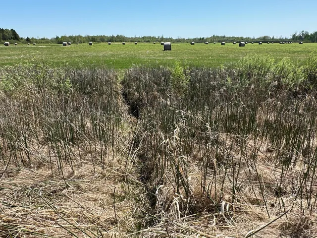 $1,250,000 | 37791 390th Avenue, Aitkin, MN 56431