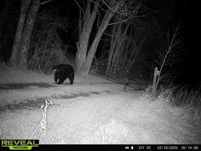 $1,250,000 | 37791 390th Avenue, Aitkin, MN 56431