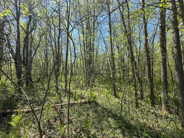 $1,250,000 | 37791 390th Avenue, Aitkin, MN 56431