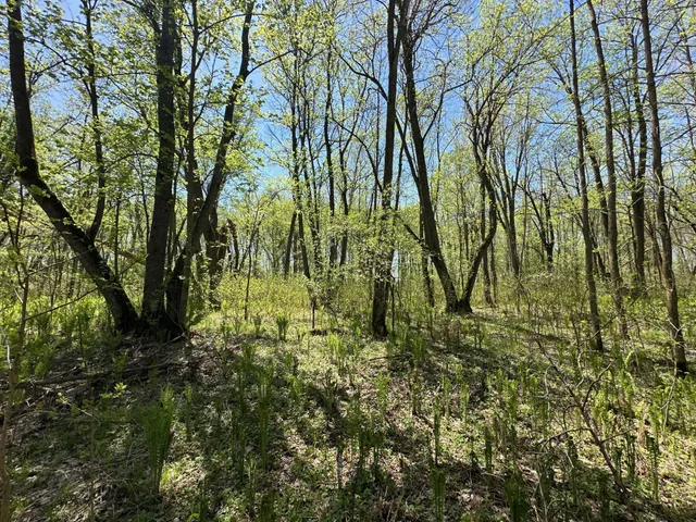 $1,250,000 | 37791 390th Avenue, Aitkin, MN 56431