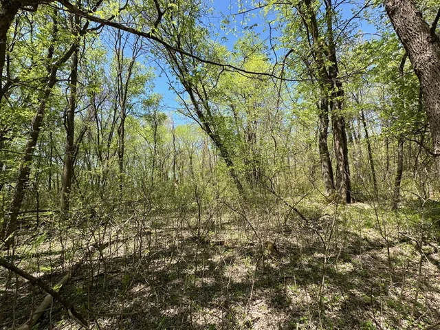 $1,250,000 | 37791 390th Avenue, Aitkin, MN 56431