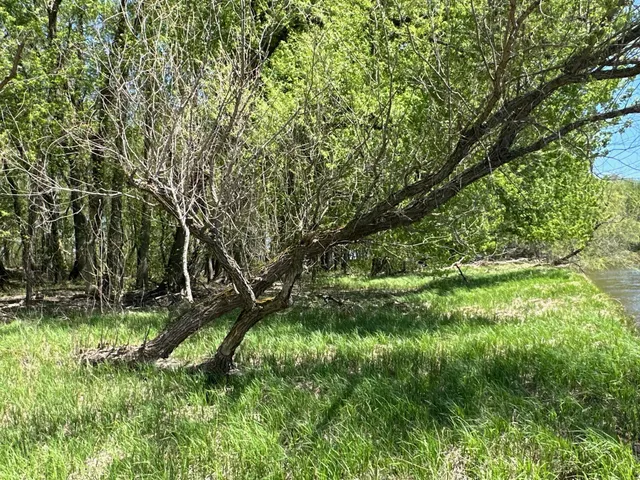 $1,250,000 | 37791 390th Avenue, Aitkin, MN 56431