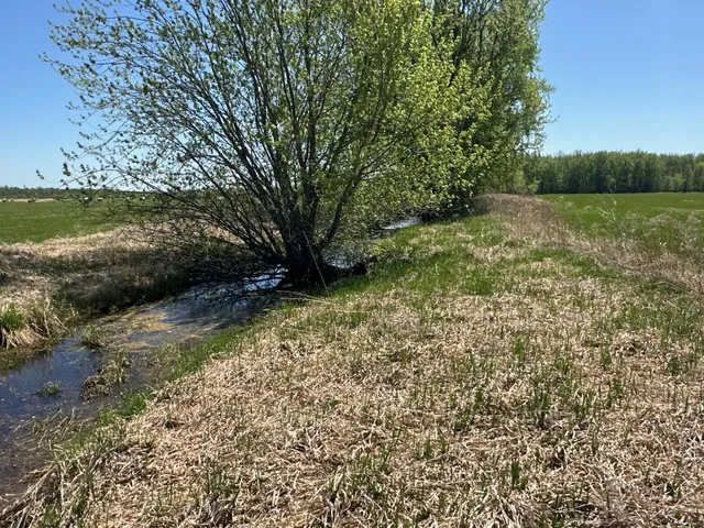 $1,250,000 | 37791 390th Avenue, Aitkin, MN 56431