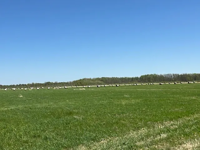 $1,250,000 | 37791 390th Avenue, Aitkin, MN 56431