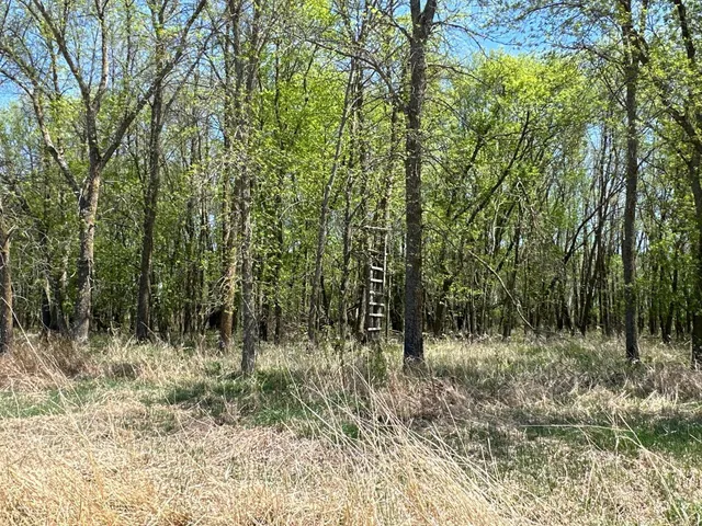 $1,250,000 | 37791 390th Avenue, Aitkin, MN 56431