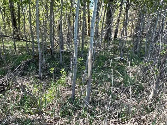 $1,250,000 | 37791 390th Avenue, Aitkin, MN 56431