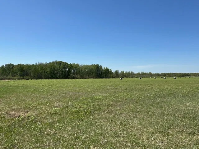 $1,250,000 | 37791 390th Avenue, Aitkin, MN 56431