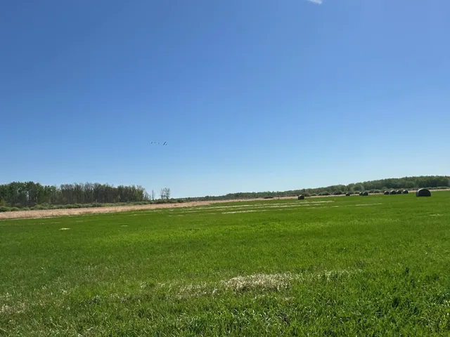 $1,250,000 | 37791 390th Avenue, Aitkin, MN 56431