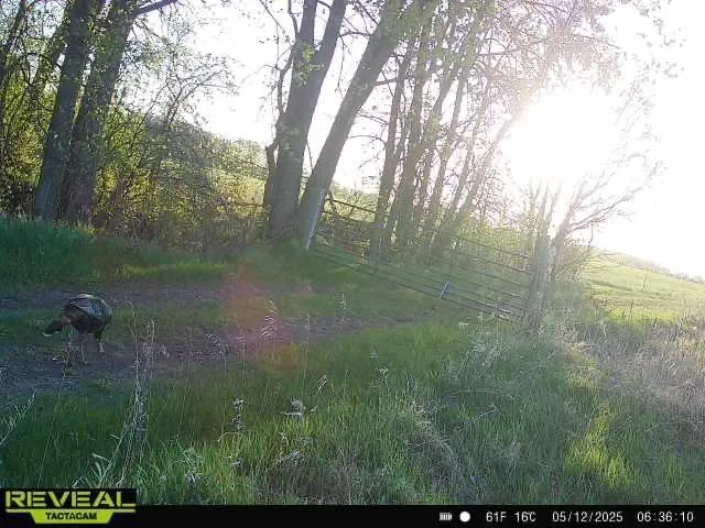 $1,250,000 | 37791 390th Avenue, Aitkin, MN 56431