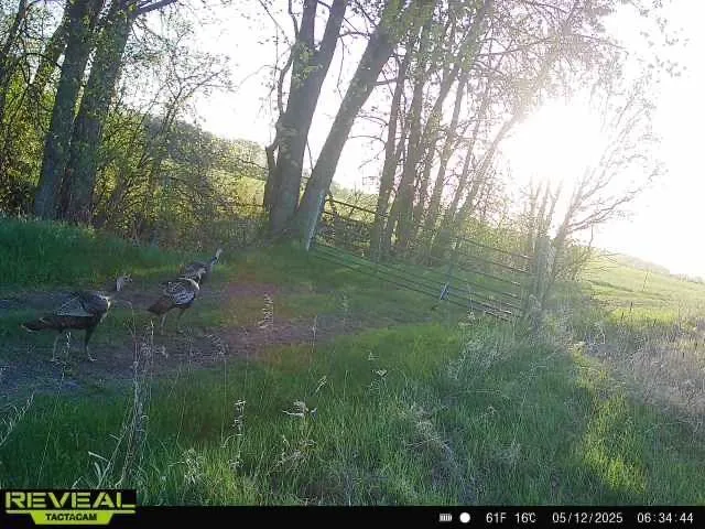 $1,250,000 | 37791 390th Avenue, Aitkin, MN 56431