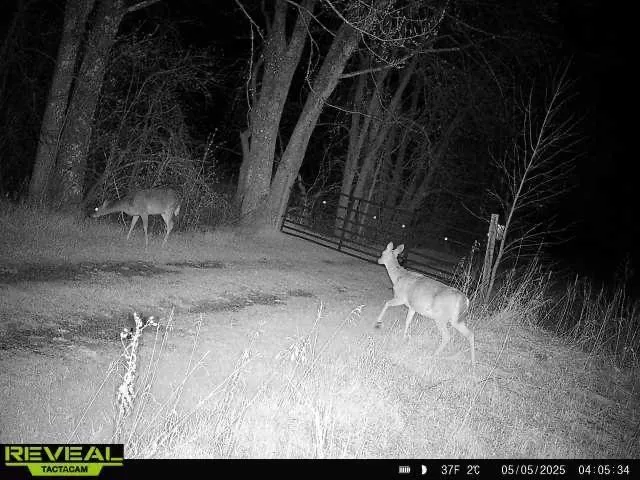 $1,250,000 | 37791 390th Avenue, Aitkin, MN 56431