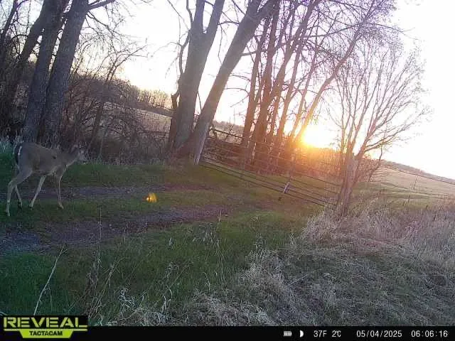 $1,250,000 | 37791 390th Avenue, Aitkin, MN 56431